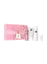 Rituals - The Ritual of Sakura